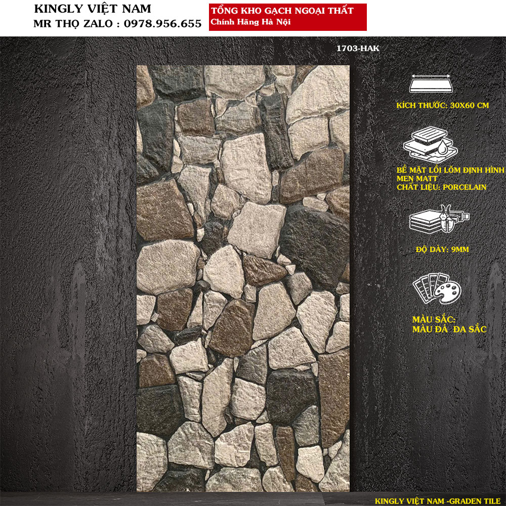 Gạch ốp tường ngoài trời 30x60 cm 1703